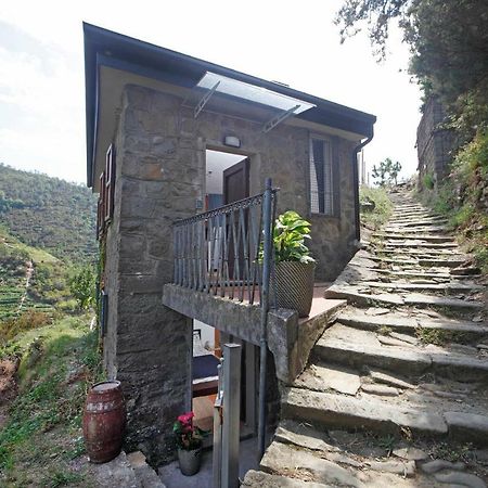 Fiesse Cottage Manarola Eksteriør bilde