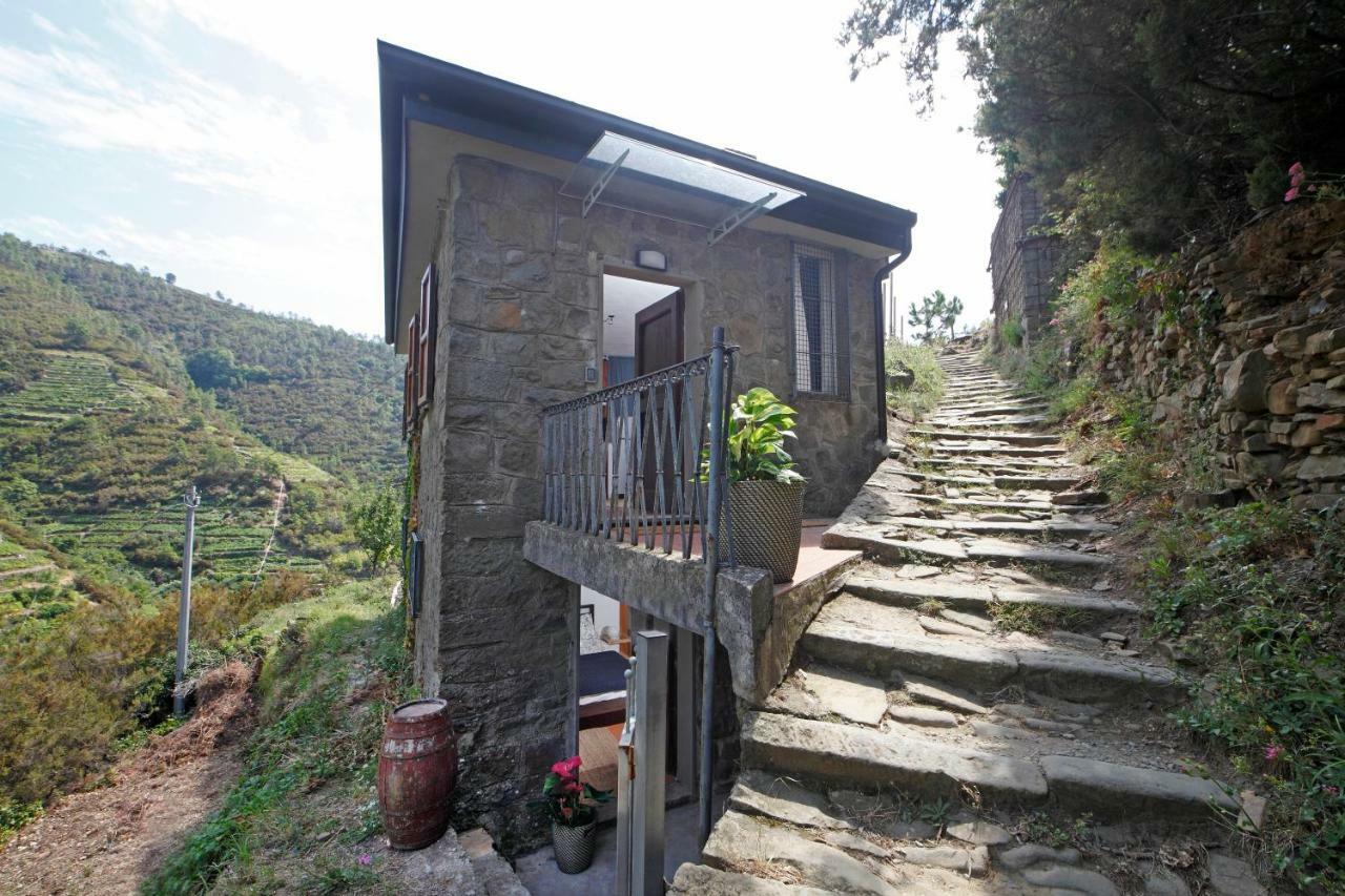Fiesse Cottage Manarola Eksteriør bilde