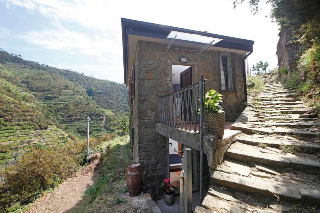 Fiesse Cottage Manarola Eksteriør bilde